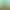 https://shared.akamai.steamstatic.com/store_item_assets/steam/apps/3118310/header.jpg?t=1729887561