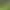 https://shared.akamai.steamstatic.com/store_item_assets/steam/apps/3120740/header.jpg?t=1727366753