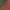 https://shared.akamai.steamstatic.com/store_item_assets/steam/apps/3121470/header.jpg?t=1749586994