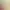 https://shared.akamai.steamstatic.com/store_item_assets/steam/apps/3123410/header_russian.jpg?t=1744855385