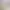 https://shared.akamai.steamstatic.com/store_item_assets/steam/apps/3125650/header.jpg?t=1727881231