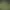 Tiny Duck Hunt 3D.