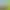 https://shared.akamai.steamstatic.com/store_item_assets/steam/apps/3132670/header.jpg?t=1742071228