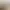 https://shared.akamai.steamstatic.com/store_item_assets/steam/apps/3135990/header.jpg?t=1748793969