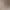 https://shared.akamai.steamstatic.com/store_item_assets/steam/apps/3136020/header.jpg?t=1750317245
