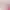 https://shared.akamai.steamstatic.com/store_item_assets/steam/apps/3137500/header.jpg?t=1744996330