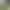 100 Fantasy Cats.