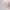 https://shared.akamai.steamstatic.com/store_item_assets/steam/apps/3141130/header.jpg?t=1750604428