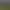 Scourge Of War - Gettysburg.