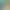 https://shared.akamai.steamstatic.com/store_item_assets/steam/apps/3144950/header.jpg?t=1732647557