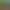 https://shared.akamai.steamstatic.com/store_item_assets/steam/apps/3149600/header.jpg?t=1740396576