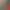 https://shared.akamai.steamstatic.com/store_item_assets/steam/apps/315460/header.jpg?t=1748360285