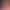 https://shared.akamai.steamstatic.com/store_item_assets/steam/apps/3156120/header.jpg?t=1728031633