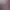 https://shared.akamai.steamstatic.com/store_item_assets/steam/apps/3157000/header.jpg?t=1733585341