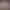 https://shared.akamai.steamstatic.com/store_item_assets/steam/apps/3157220/header.jpg?t=1726239555