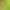 Dino Age: Dinosaur Survival Game.