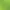 Dino Age: Dinosaur Survival Game.