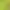 Dino Age: Dinosaur Survival Game.
