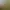 https://shared.akamai.steamstatic.com/store_item_assets/steam/apps/3159000/87f0086e556a0ba1a8e539393a4f3429738f542f/header.jpg?t=1750352825