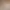 https://shared.akamai.steamstatic.com/store_item_assets/steam/apps/3162020/header.jpg?t=1741227032