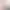 https://shared.akamai.steamstatic.com/store_item_assets/steam/apps/3169750/header.jpg?t=1731227427