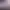 https://shared.akamai.steamstatic.com/store_item_assets/steam/apps/3169810/header.jpg?t=1749542577