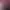 https://shared.akamai.steamstatic.com/store_item_assets/steam/apps/3171630/header.jpg?t=1738739605