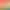 https://shared.akamai.steamstatic.com/store_item_assets/steam/apps/3172880/header.jpg?t=1733942322