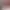 https://shared.akamai.steamstatic.com/store_item_assets/steam/apps/3180670/507412a22780991ba5e122192343287c184347ac/header.jpg?t=1749050874