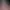 https://shared.akamai.steamstatic.com/store_item_assets/steam/apps/3187770/header.jpg?t=1733491750