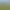 Tiny House Simulator.