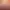 https://shared.akamai.steamstatic.com/store_item_assets/steam/apps/3192080/header.jpg?t=1727359293