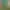 https://shared.akamai.steamstatic.com/store_item_assets/steam/apps/319320/header_russian.jpg?t=1582008744