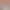 https://shared.akamai.steamstatic.com/store_item_assets/steam/apps/3194550/header.jpg?t=1746848657