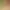https://shared.akamai.steamstatic.com/store_item_assets/steam/apps/3196580/header_russian.jpg?t=1727334277