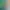 https://shared.akamai.steamstatic.com/store_item_assets/steam/apps/3197070/header_russian.jpg?t=1727334243