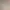https://shared.akamai.steamstatic.com/store_item_assets/steam/apps/3198750/header.jpg?t=1732891843