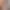 https://shared.akamai.steamstatic.com/store_item_assets/steam/apps/3201210/header.jpg?t=1729827922