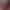 https://shared.akamai.steamstatic.com/store_item_assets/steam/apps/3204390/header.jpg?t=1727110729