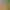 https://shared.akamai.steamstatic.com/store_item_assets/steam/apps/3206170/ee38a0343e9e671dab55188d9e2cdb3d06c85a04/header.jpg?t=1744725686
