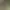 https://shared.akamai.steamstatic.com/store_item_assets/steam/apps/3207370/header.jpg?t=1741094204