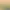 https://shared.akamai.steamstatic.com/store_item_assets/steam/apps/3209330/header.jpg?t=1734044988