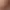 https://shared.akamai.steamstatic.com/store_item_assets/steam/apps/3211680/12adde930feca1c99f70df12900c9040befc7102/header.jpg?t=1750655944