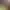 https://shared.akamai.steamstatic.com/store_item_assets/steam/apps/3212120/header.jpg?t=1733797157
