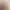 https://shared.akamai.steamstatic.com/store_item_assets/steam/apps/3214780/header.jpg?t=1727175015