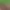 https://shared.akamai.steamstatic.com/store_item_assets/steam/apps/3214810/header.jpg?t=1728818277