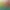 https://shared.akamai.steamstatic.com/store_item_assets/steam/apps/3217500/header.jpg?t=1744992160