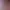 https://shared.akamai.steamstatic.com/store_item_assets/steam/apps/3223120/header.jpg?t=1729930466