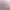 https://shared.akamai.steamstatic.com/store_item_assets/steam/apps/3226190/header.jpg?t=1729847719
