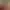 https://shared.akamai.steamstatic.com/store_item_assets/steam/apps/3234140/header.jpg?t=1730358802